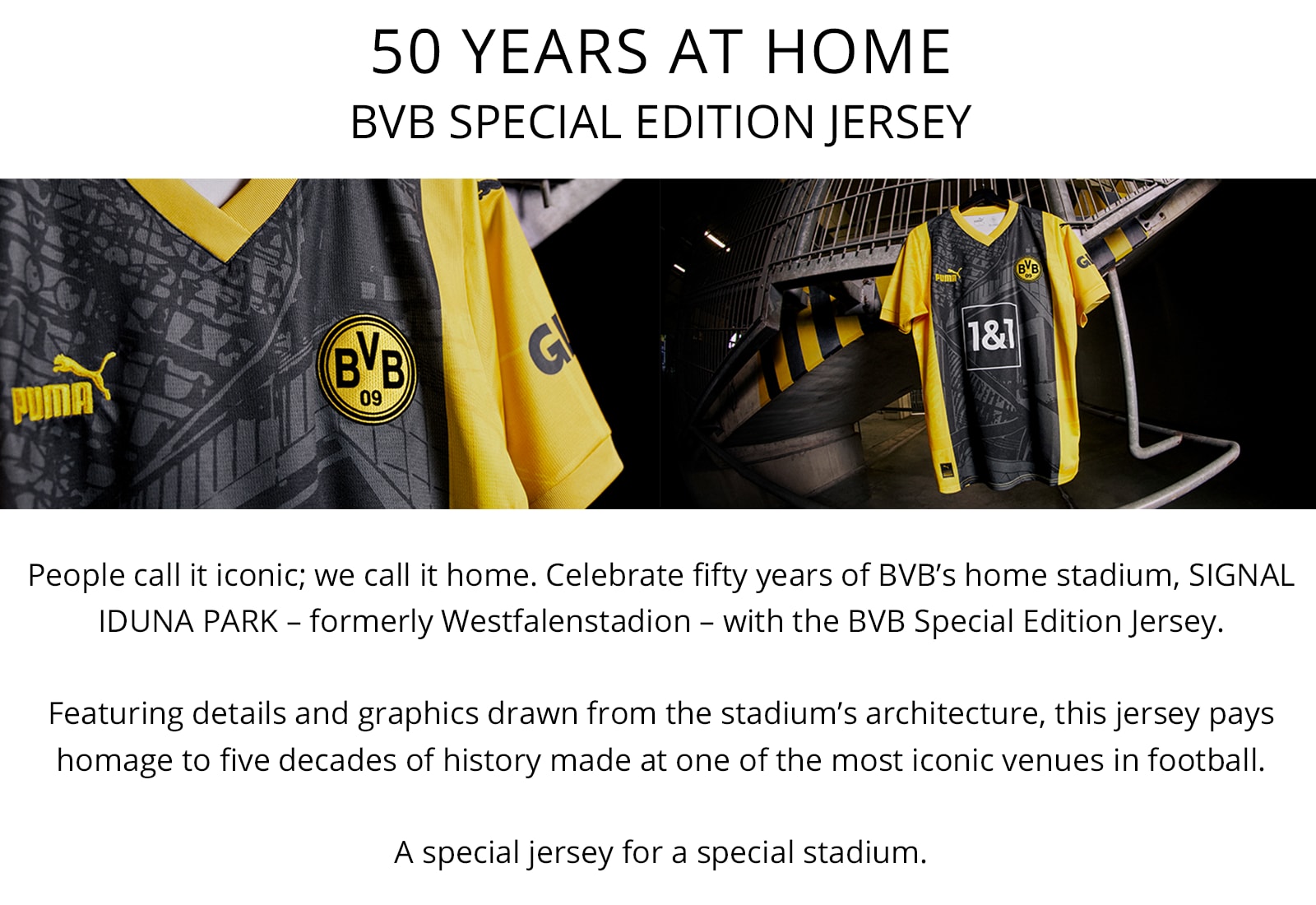 BVB Special Edition